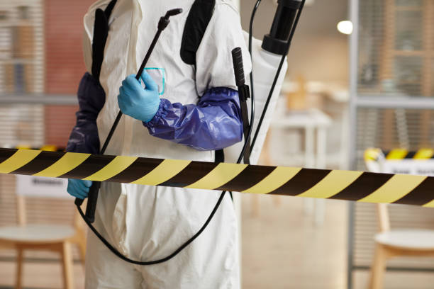 Professional Sewage Cleanup technician working in Lewis, IA
